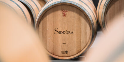 2026 01 23 SIDDURA COMPRESS 15